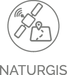 naturgis