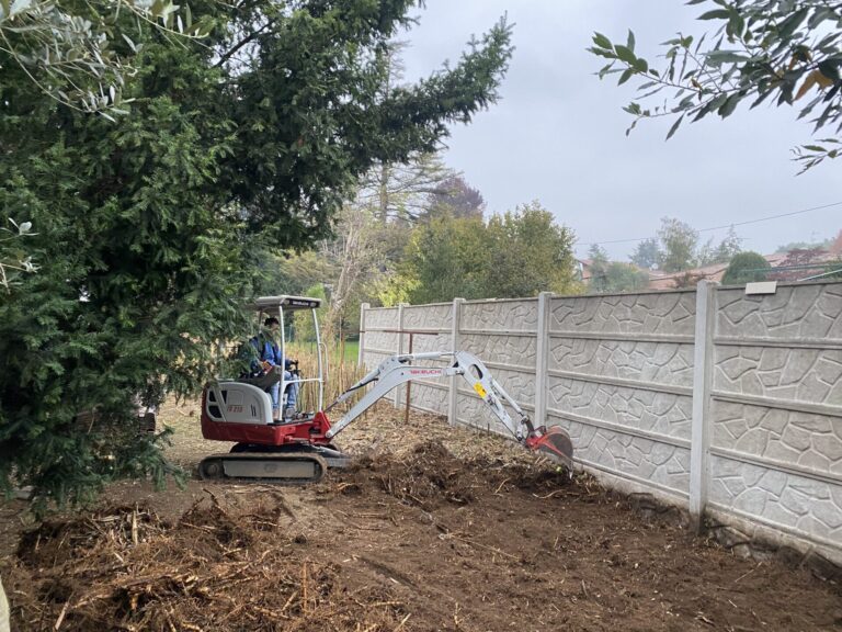 Rimozione bamboo infestanti da giardino privato